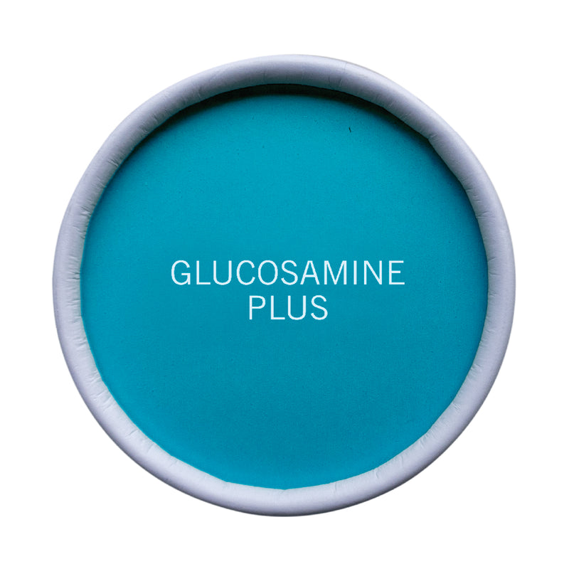 Glucosamine Plus 90 Tablets