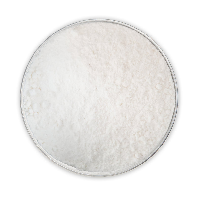 Glutamine Powder 80g Powder